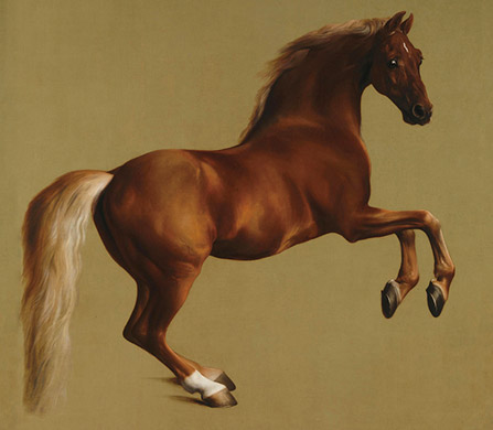 サラブレッドはアラブ種の馬と英国の馬の交配種（ナショナル・ギャラリー）