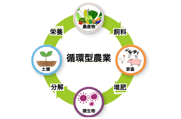 家畜の堆肥も循環して肥料に