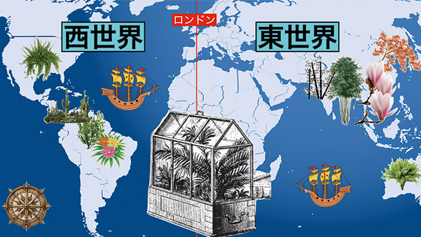 ウォードの箱（中央）で東西の植物が運ばれた