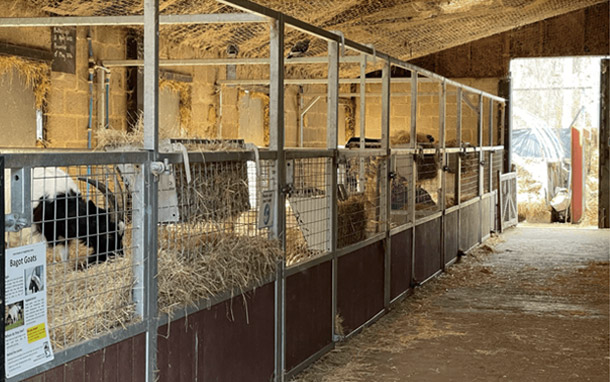 メアリーの借りた馬小屋は農場に