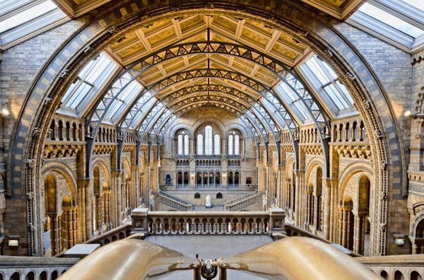 自然史博物館（下）