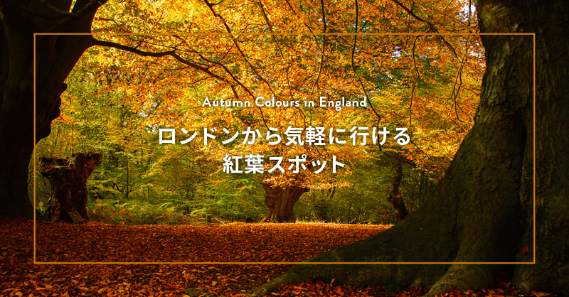 ロンドンから気軽に行ける紅葉スポット