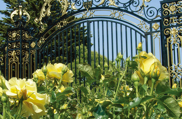 Queen Mary's Rose Garden