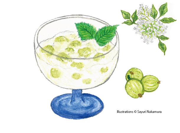 Gooseberry Fool