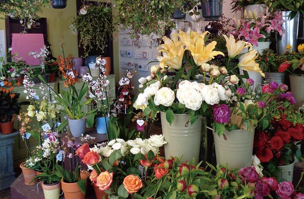 Daisies Flower Shop