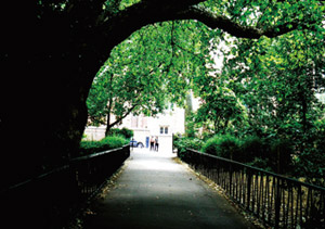 Lincoln's Inn Fields, WC2