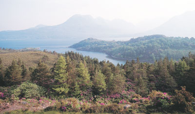 Beinn Eighe