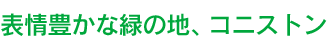 表情豊かな緑の地、コニストン