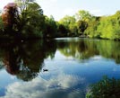 Bathing Ponds