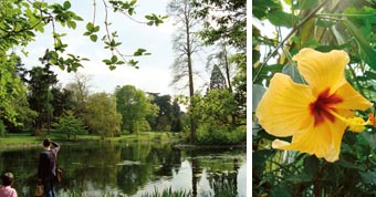 Royal Botanic Gardens, Kew