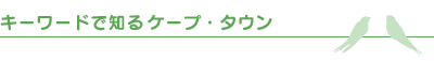 キーワードで知るケープタウン