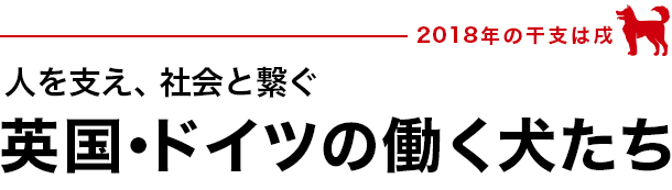 2018年の干支は戌 - 英国・ドイツの働く犬たち