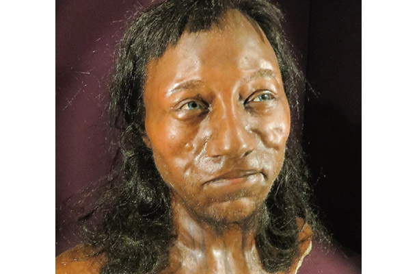 英国人の最古の祖先チェダーマンは約1万年前に生きていた（自然史博物館蔵）