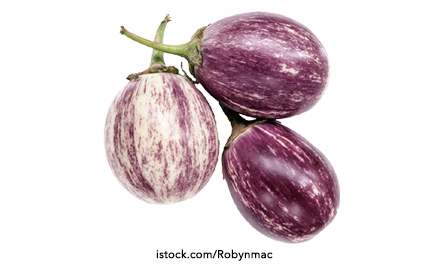 Baby Aubergine Striped