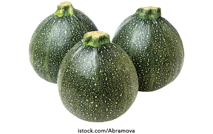 Round Courgette