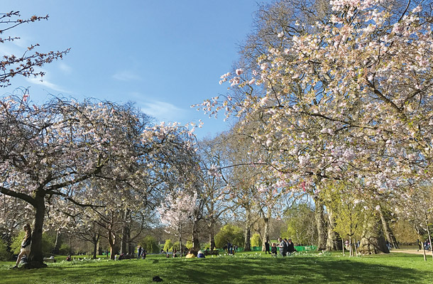 St. James's Park
